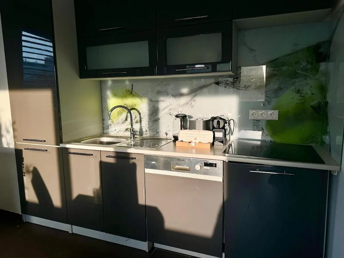 130 M2 Stylish 4 Bedroom Apartment With Balcony Vienna Austria